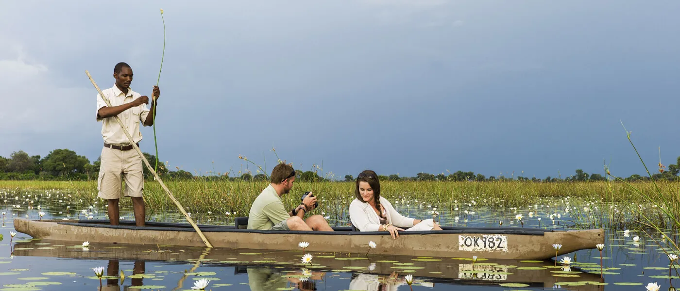 2643 south africa wine honeymoon