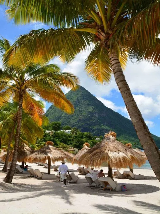2648 honeymoon activities