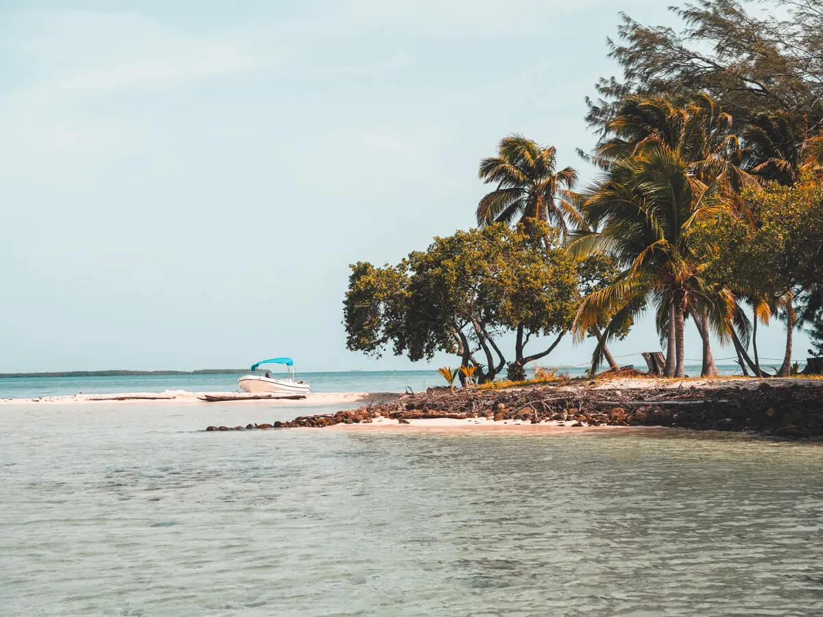 2660 turks and caicos honeymoon