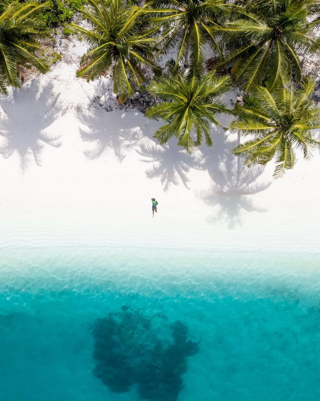 2668 maldives honeymoon dining