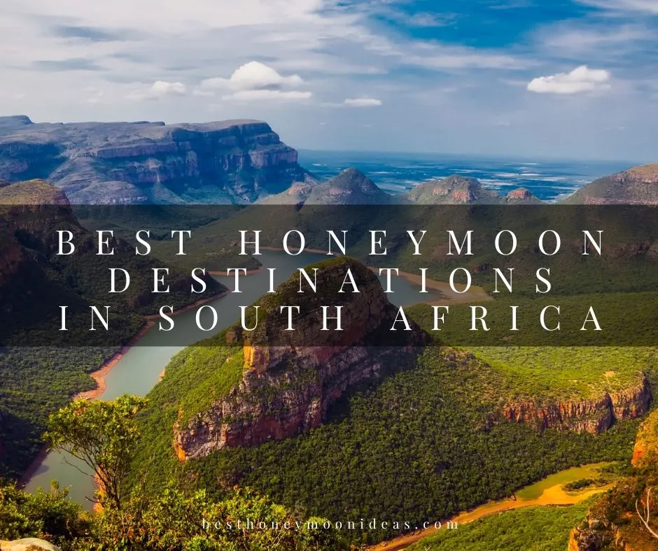2689 south africa wine tasting
