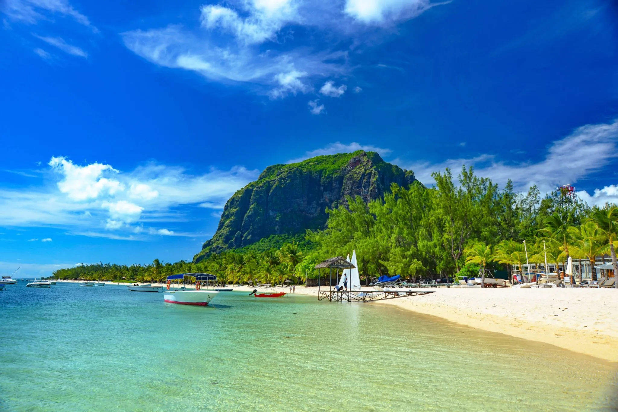 2713 caribbean beach honeymoon