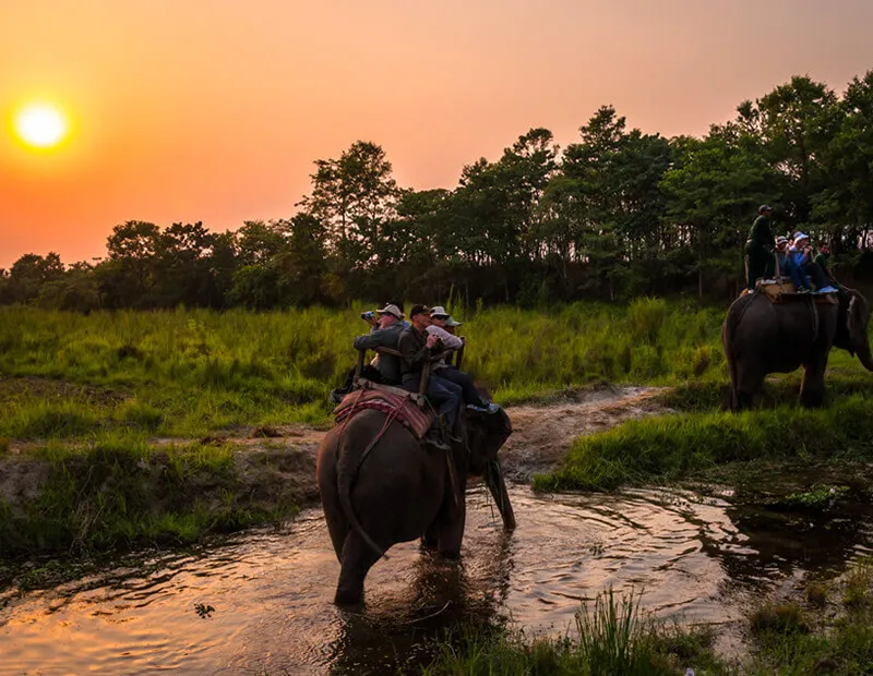 2732 chitwan honeymoon safari