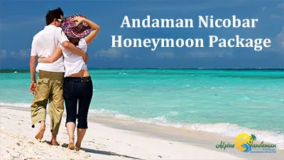 2764 andaman nicobar resort