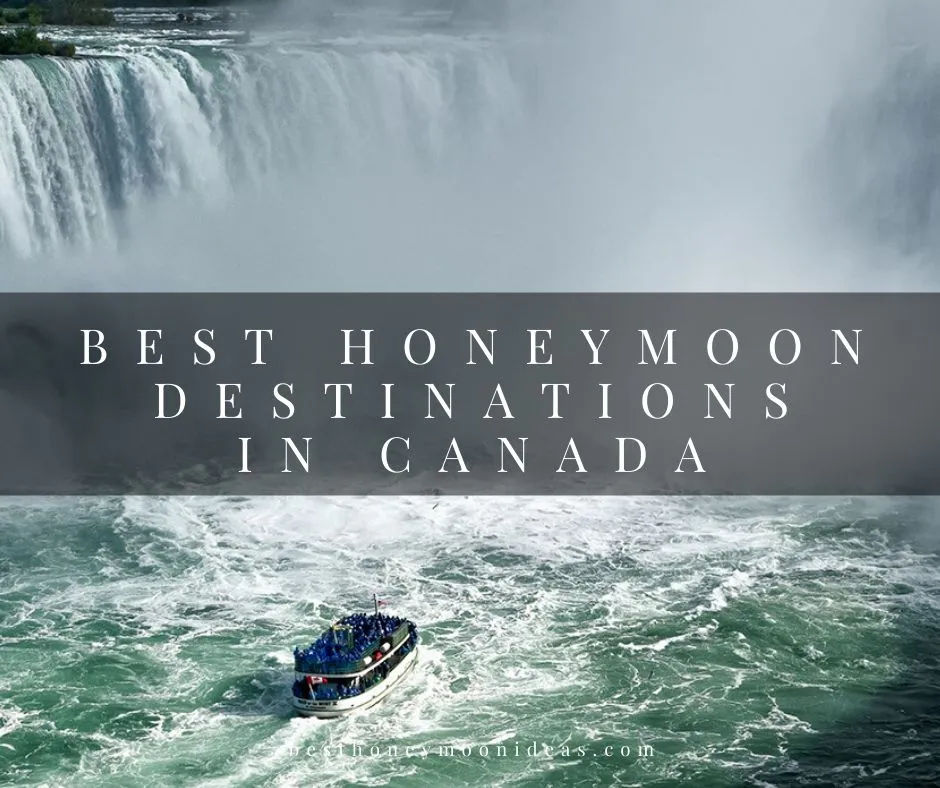 2765 clayoquot wilderness lodge honeymoon