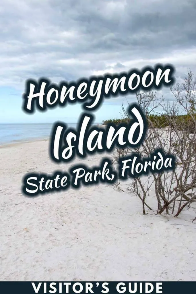 2766 honeymoon island fall
