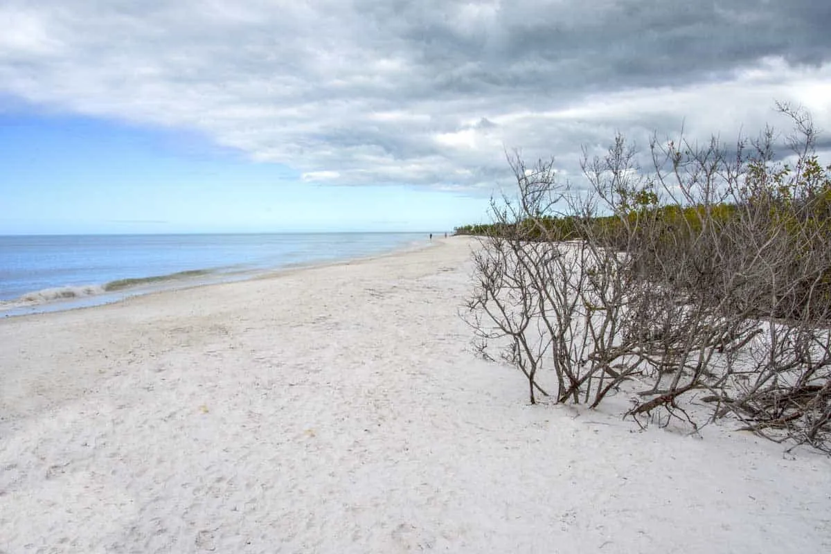 2766 honeymoon island hurricane