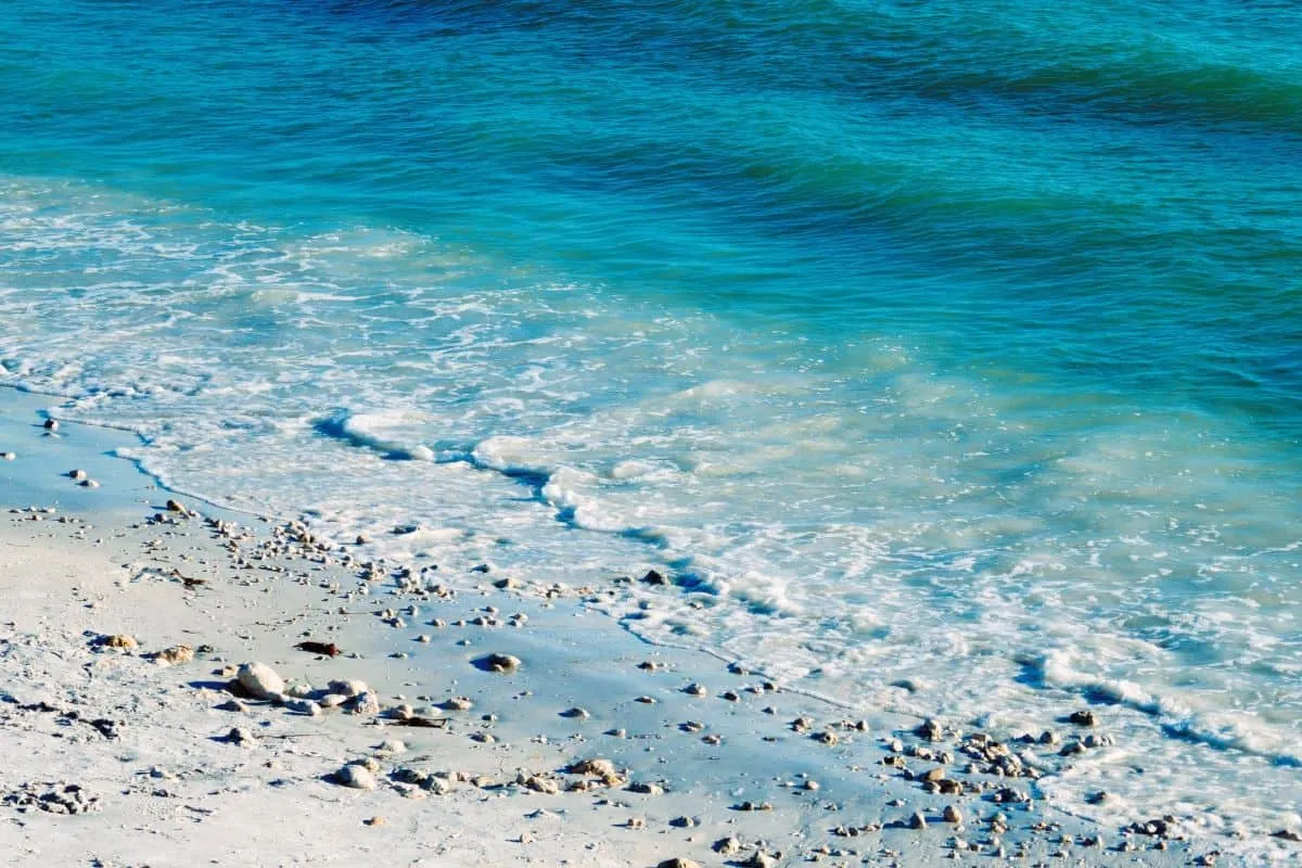 2766 honeymoon island spring