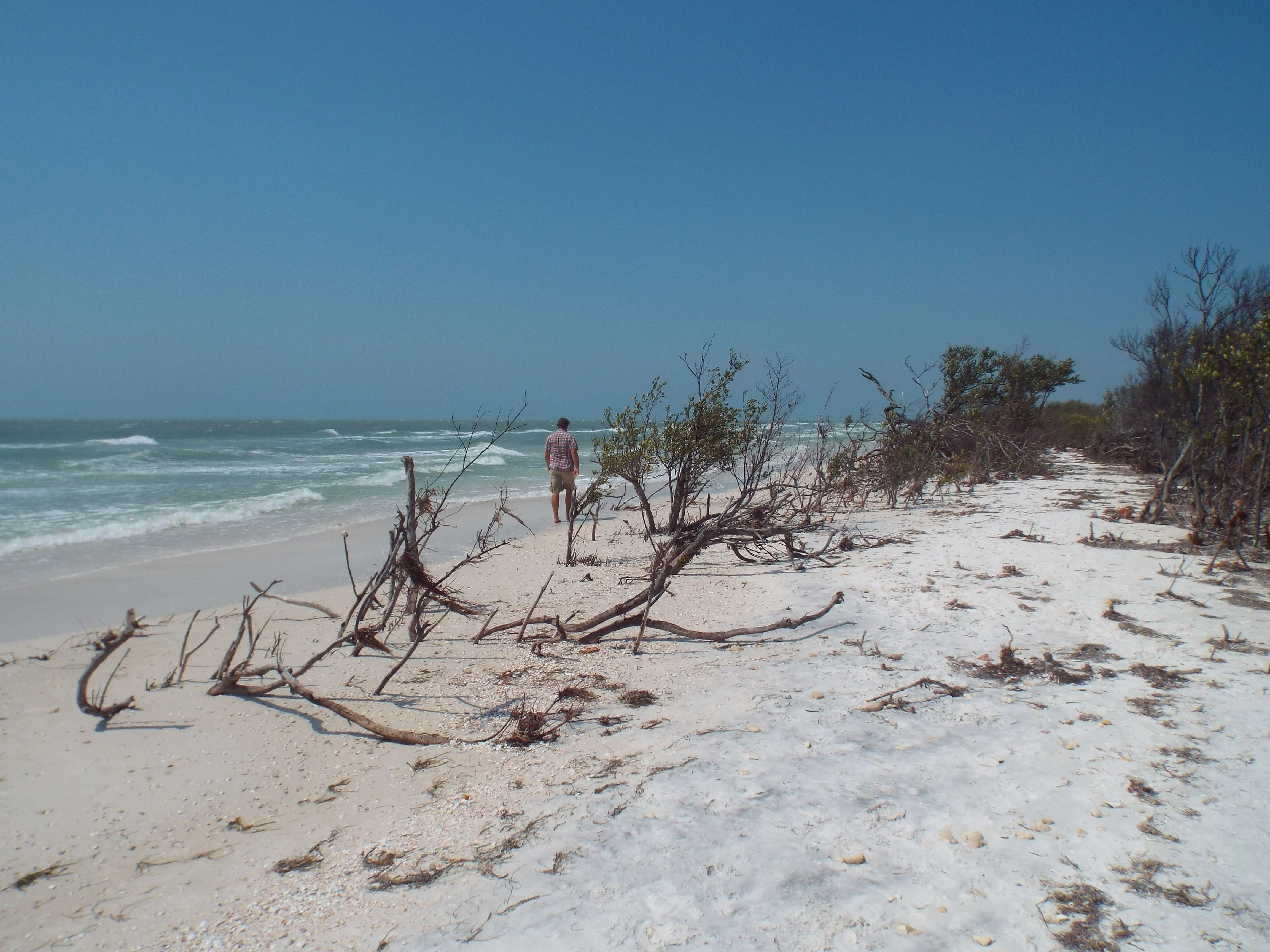 /img/2766-honeymoon-island-winter.webp