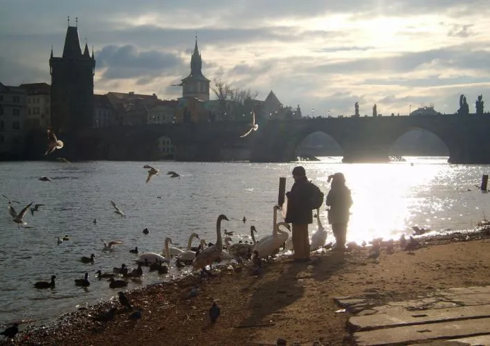 2774 charles bridge honeymoon