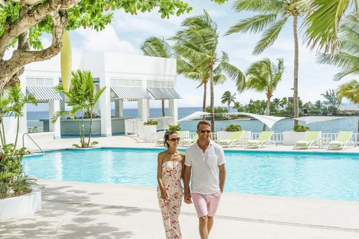 2813 secrets wild orchid
