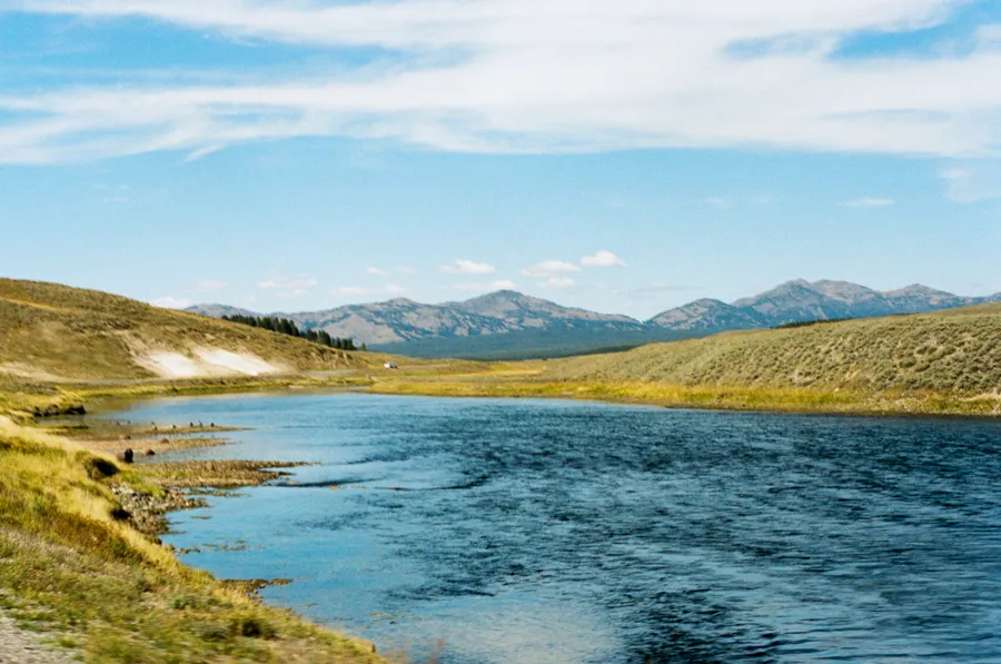 2815 yellowstone wildlife viewing