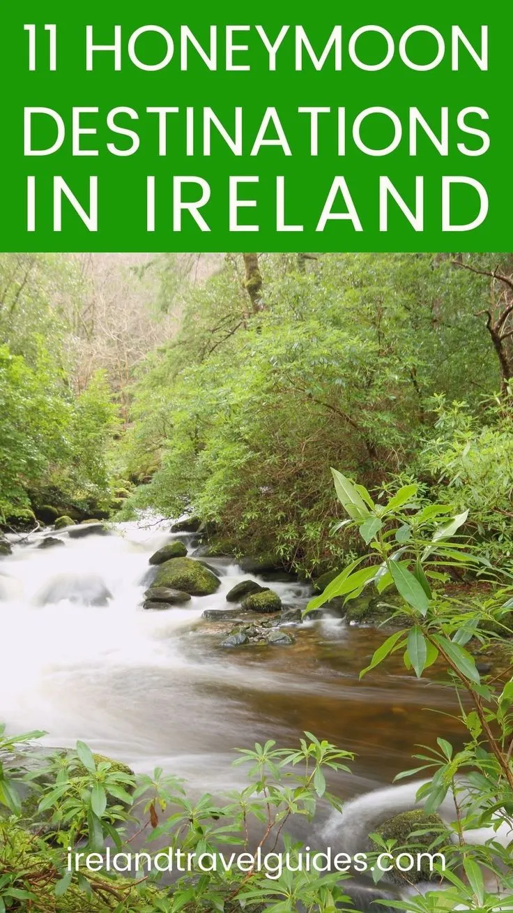 2818 dublin culinary scene