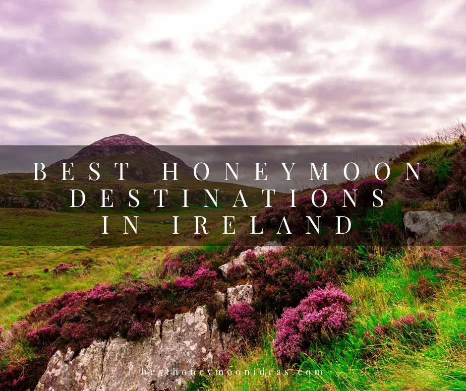 2818 dublin honeymoon guide
