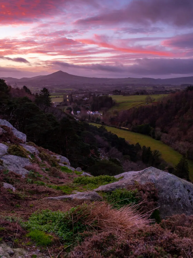 2818 romantic walks dublin