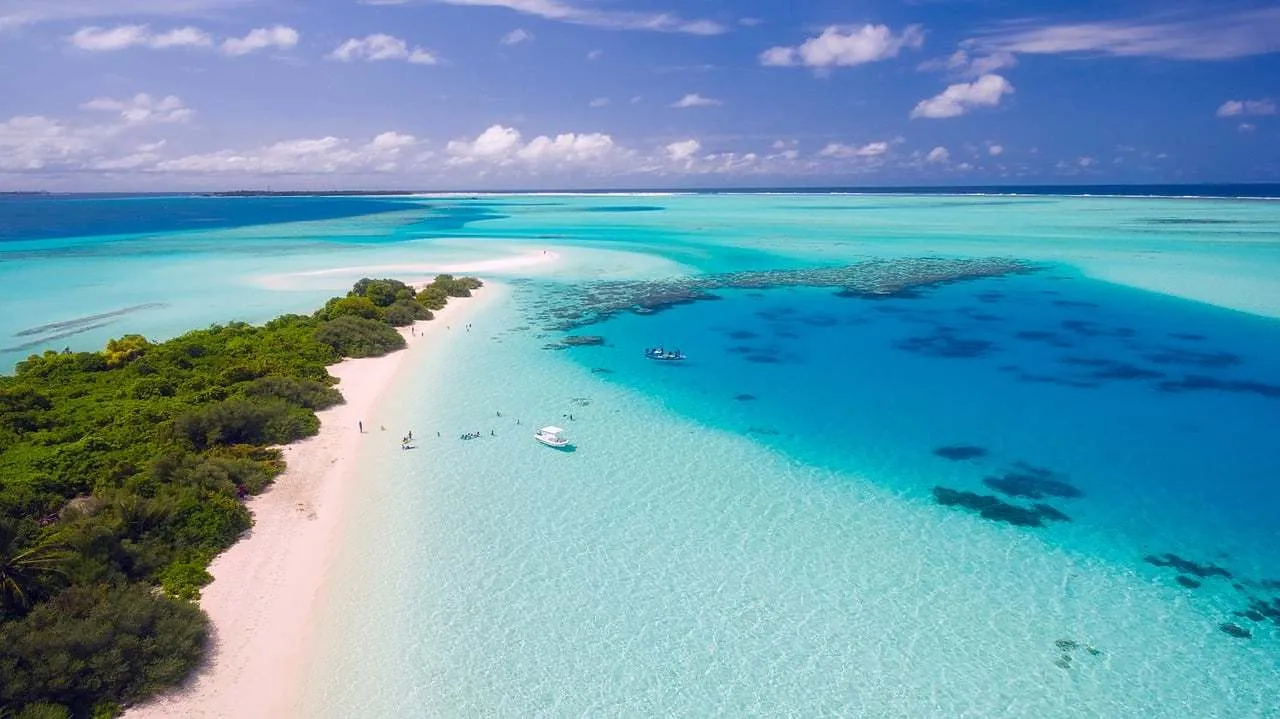 2822 honeymoon planning