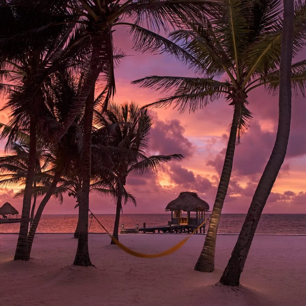 2831 paradise found resort