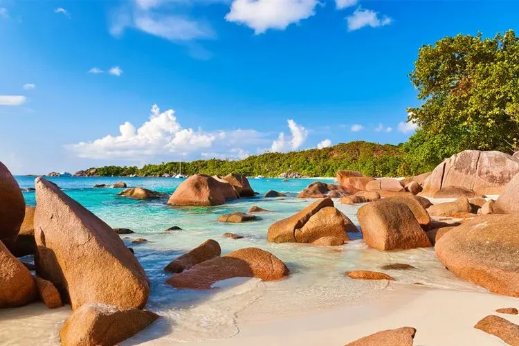 2833 private beach