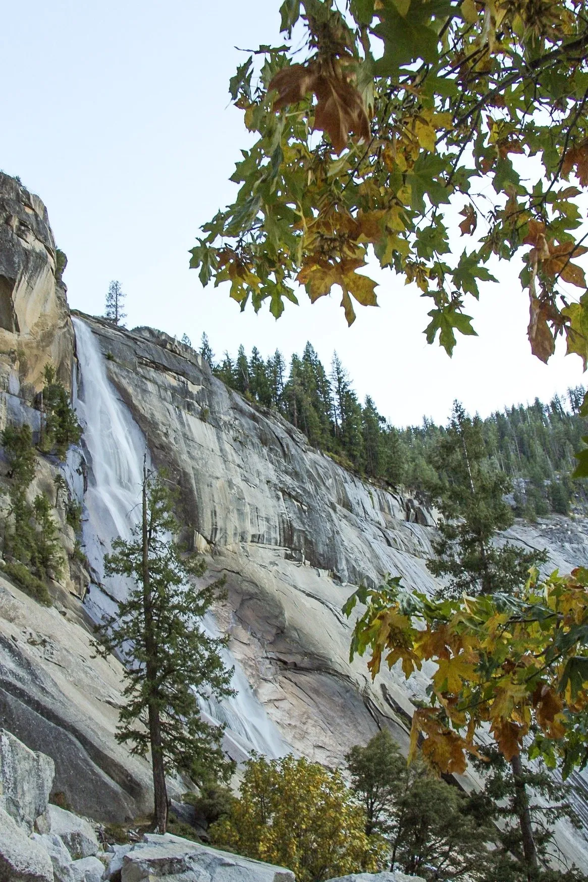 2837 yosemite sunset honeymoon