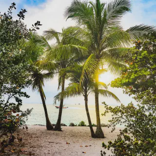 /img/2845-honeymoon-budget-activities.webp