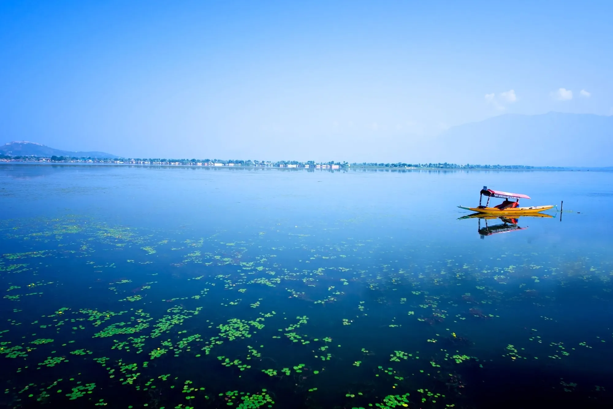 2849 dal lake shikara