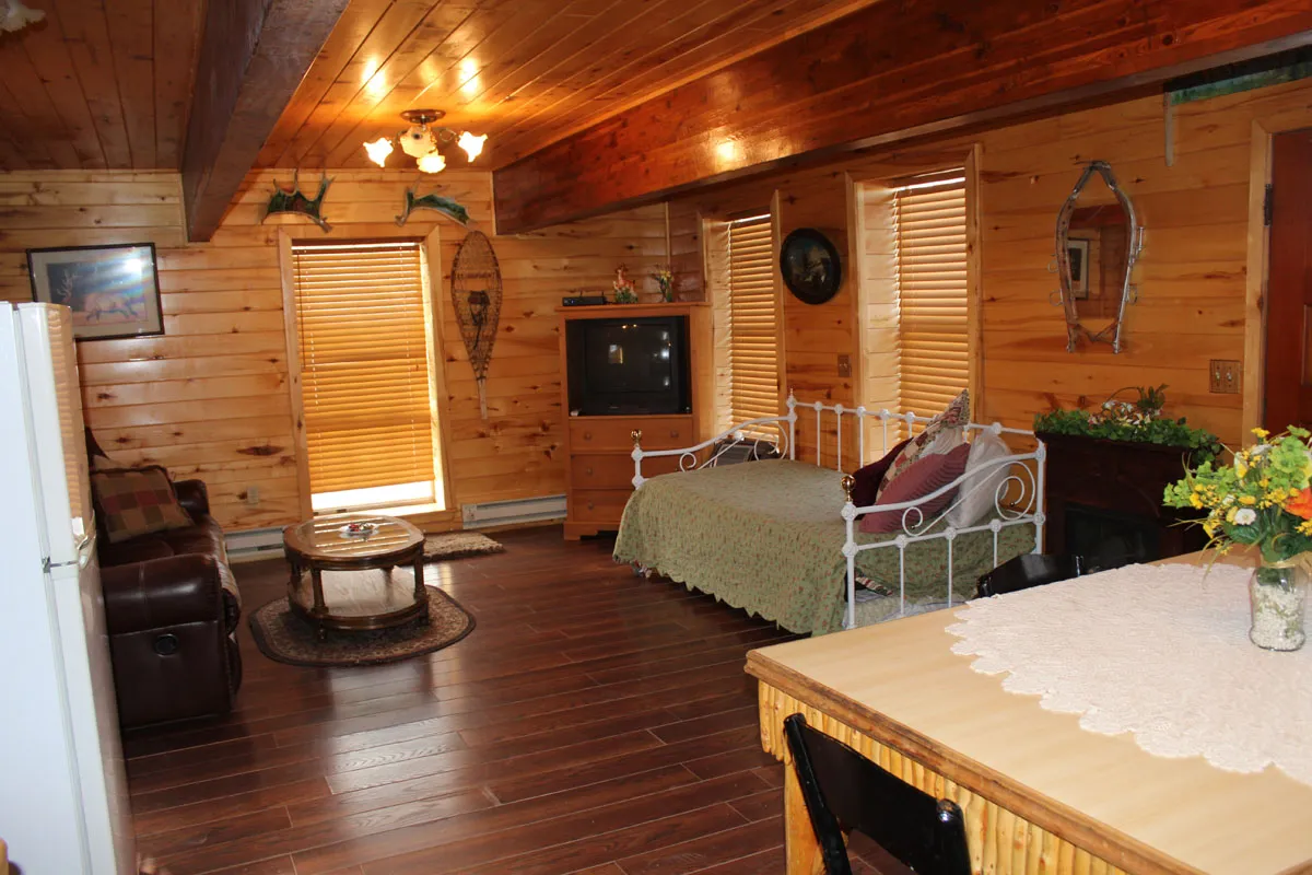 2861 cabin scenic view