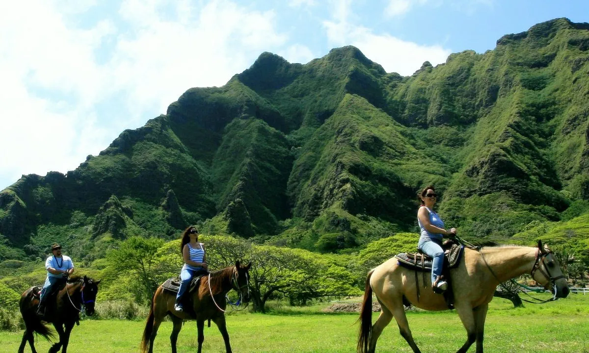 2896 romantic hawaii dinner