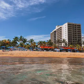 /img/2902-resort-room.webp