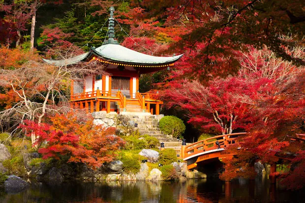 /img/2906-honeymoon-destination-map.webp