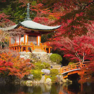 /img/2906-honeymoon-destination-map.webp