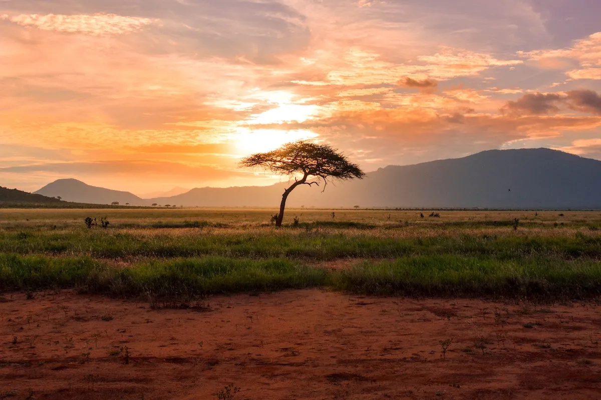 2916 african honeymoon destinations