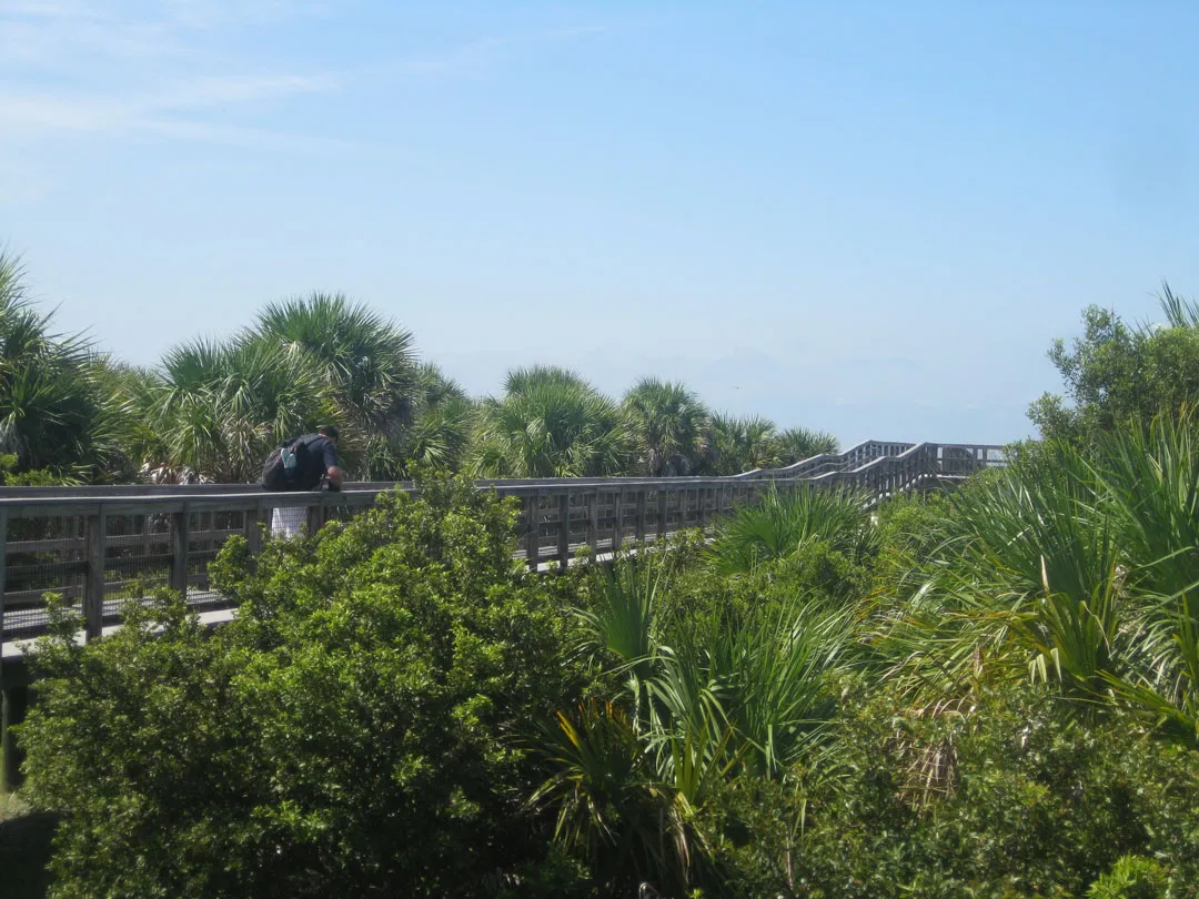 2938 caladesi island kayaking