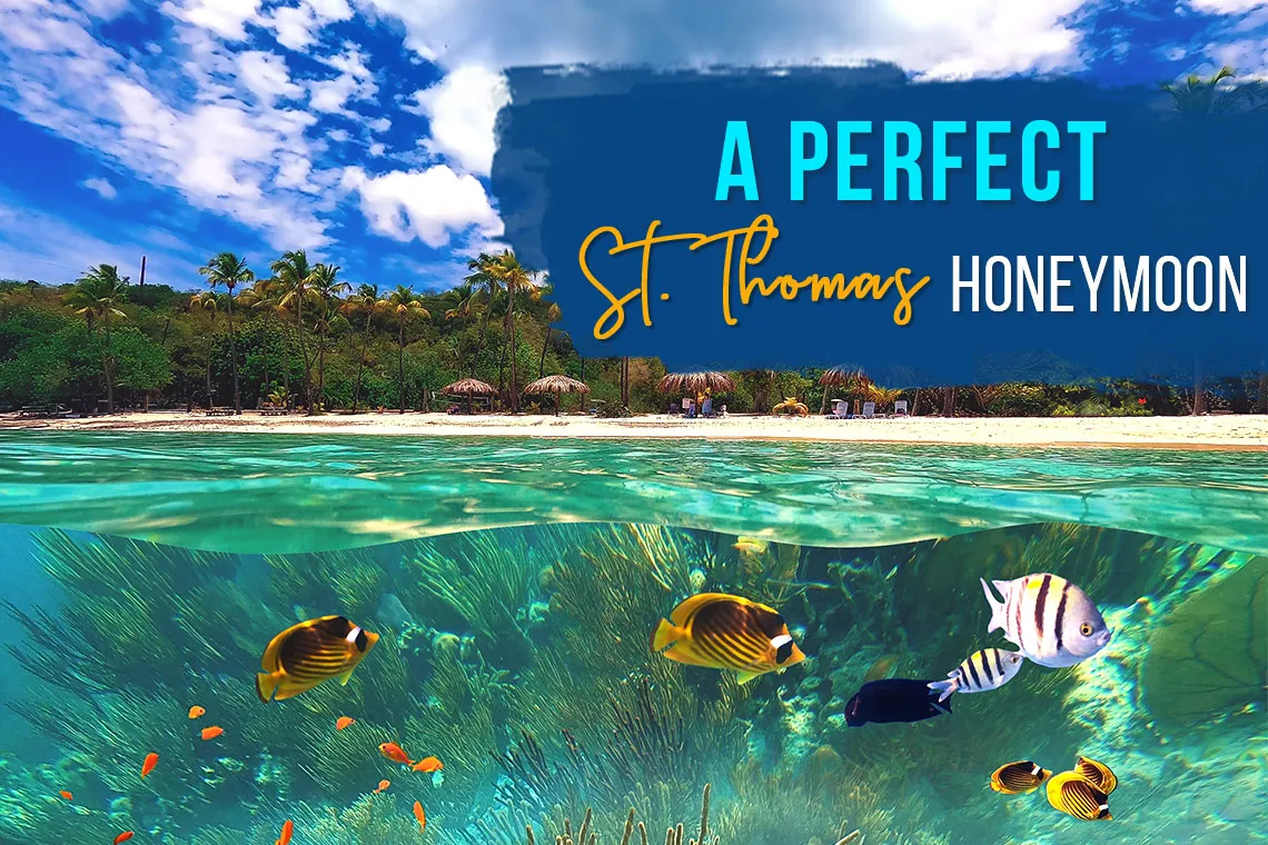 2983 st thomas honeymoon activities