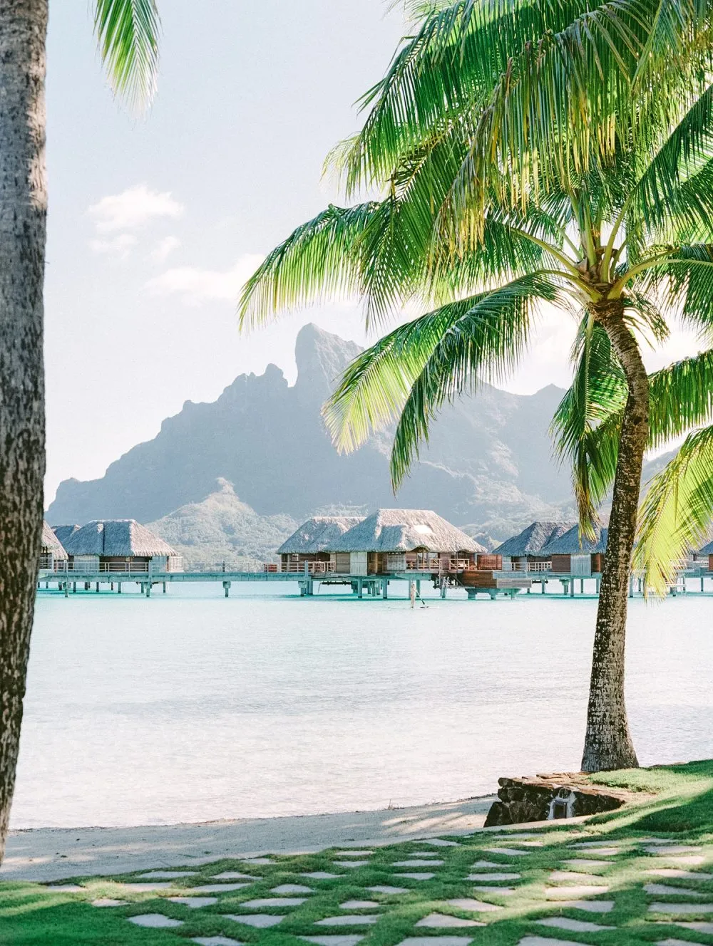 2998 bora bora snorkeling