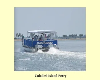 3004 caladesi island accommodation
