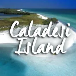 3004 caladesi island couple