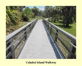 /img/3004-caladesi-island-honeymooners.webp