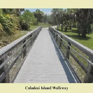 /img/3004-caladesi-island-honeymooners.webp