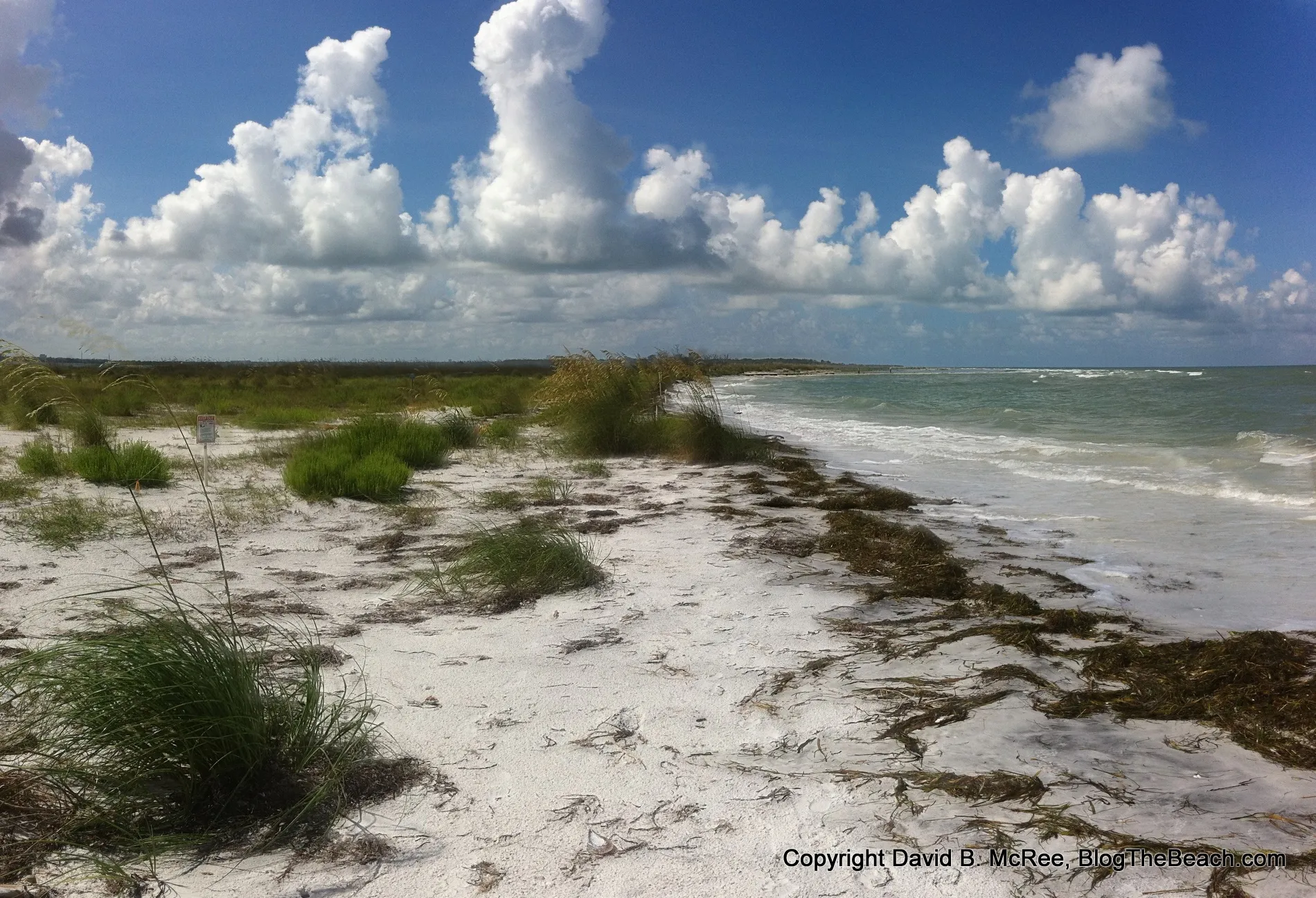 3004 caladesi island kayaking