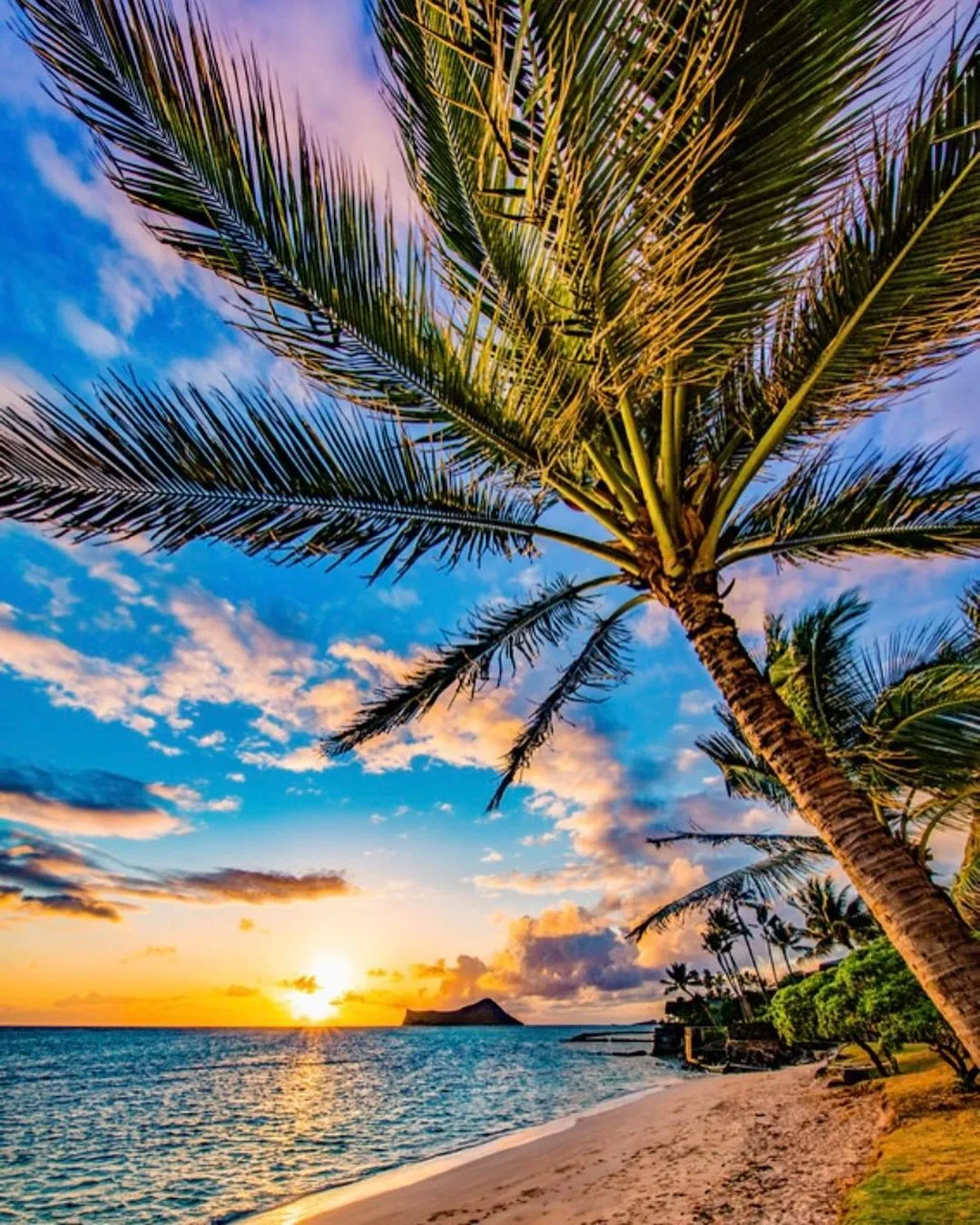 3044 oahu waikiki beach