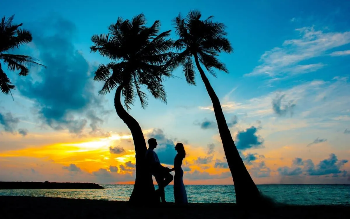 /img/3048-romantic-dinner.webp