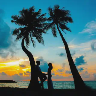 /img/3048-romantic-dinner.webp