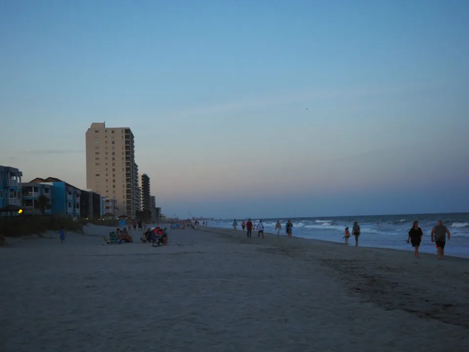 3051 myrtle beach dolphin watching