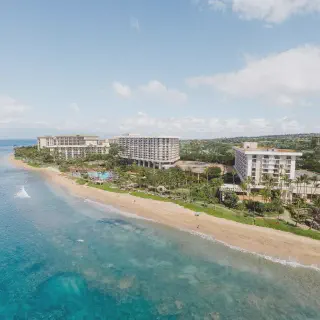 /img/3059-maui-honeymoon-hotel-activities.webp