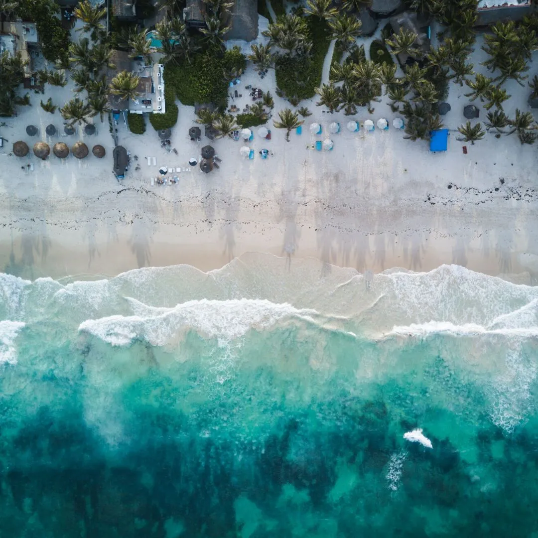 3084 four seasons punta mita honeymoon