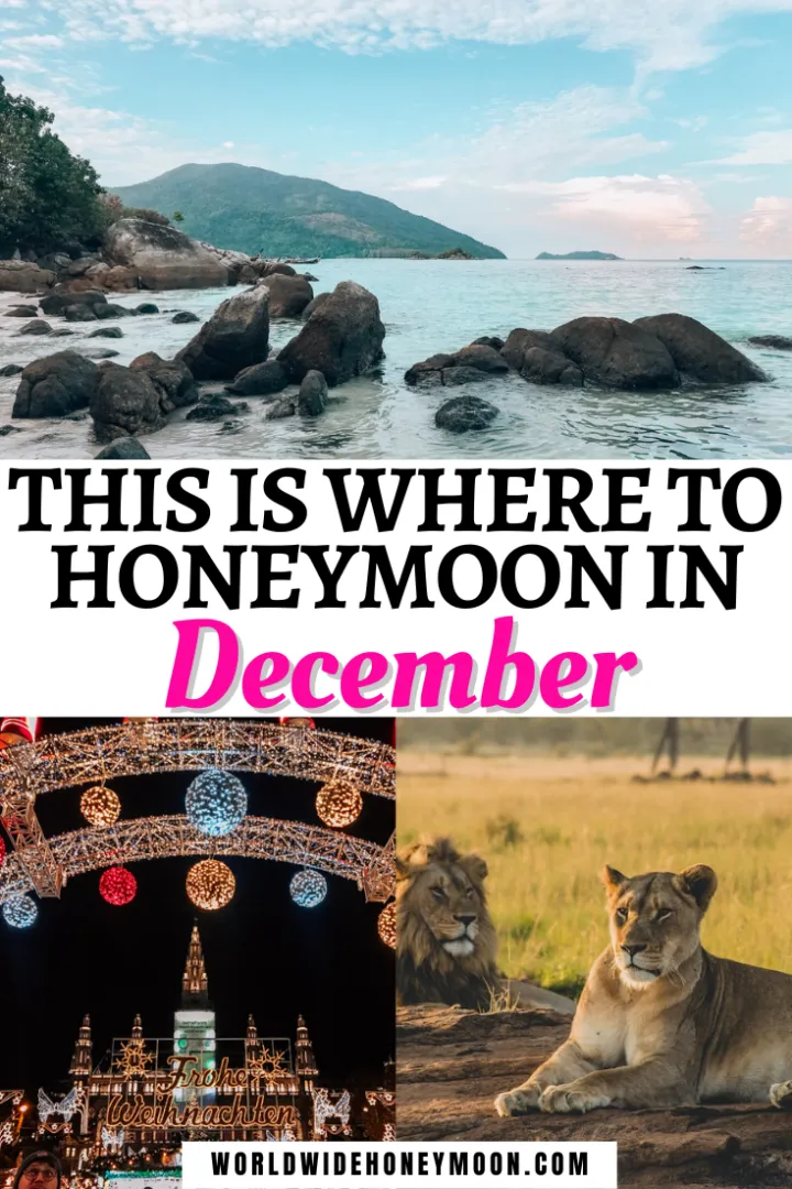 3107 honeymoon packing