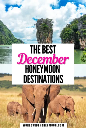 3107 seychelles honeymoon