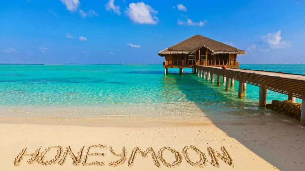 3116 honeymoon packing