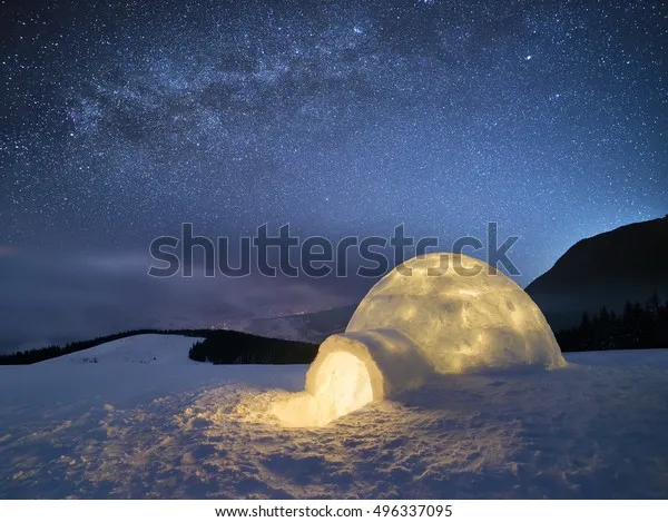 3119 igloo honeymoon packing