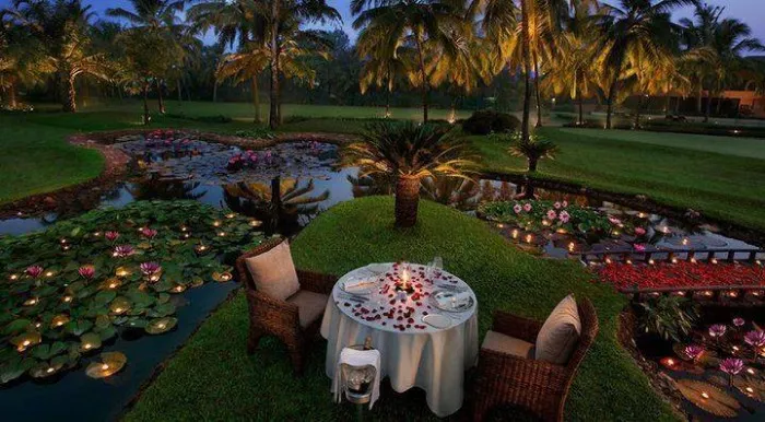 3137 maui honeymoon